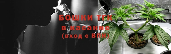 молекула духа Переславль-Залесский