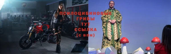 молекула духа Переславль-Залесский