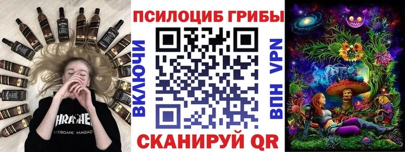 Купить где  Печоры  Псилоцибиновые грибы Psilocybe 